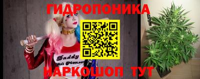 индика Новокубанск